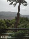 Hostal Ayaan Valley House