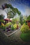 Hotel Alona Swiss Resort