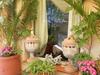 Apartment Giardino Delle Palme Palermo