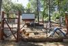 The Chick Inn - Eco-friendly Glamping