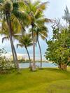 Villa Jungla Del Mar - Oceanfront City Apartment