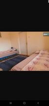 Ozzy Apartman