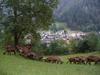 Agroturismo Agriturismo Alle Baite