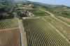 Agroturismo Agriturismo E Cantina La Sabbiona