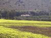 Agroturismo Turismo Rurale Baglio Fastuchera