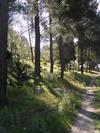 Agroturismo Turismo Rurale Baglio Fastuchera