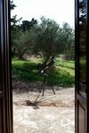 Agroturismo Turismo Rurale Baglio Fastuchera