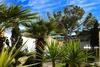 B&B Villa Garden