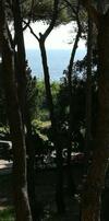 Apartamento Monolocale In Residence