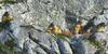 Apartamento Brandtnerhof Betriebe