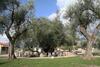 Hostal Rooms & Apartments Anka