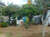 Apartamento Il Giardino Del Corso