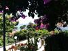Apartment Luka Sodan -villa Bose