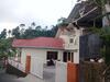 Homestay Lovebird