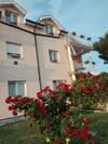 Apartment Borjana