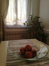 Best Relax Home Marina Di Carrara