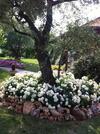 Agroturismo Agri Divin Amore