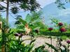 Hotel Sapa Rosie House