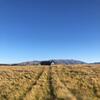 Peak View Cabin - Ben Ohau - Stylish Seclusion