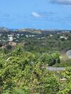 The View