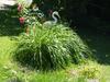 G�te De Charme Les Petits Matins Bleus