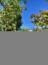 Caravaning Les Tourterelles