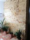 Quartos City Apartments Carmona