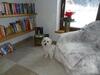 Agroturismo Pension Forsthof