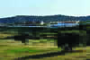 Hostal Herdade Do Sobroso Country House