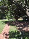 Bed & Breakfast Midrand Wild Goose Guest House