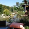Agroturismo B&B Torricella