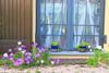Agroturismo B&B Torricella