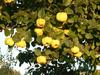 Agroturismo Country House Cortesia