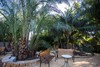 Apartamento Palmeral De Madaria