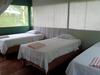 Jungle Explorer Lodge