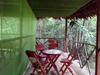 Jungle Explorer Lodge