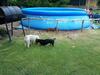 Apartamento Rancho Por Fin