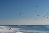 Hotel Holiday Inn Express & Suites Carpinteria
