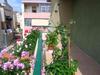 Apartamento Villa Paradise