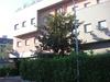 Hotel Comtur