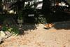 Bed & Breakfast Le Relais De La Tour
