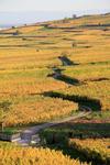 Hotel Le Beau Site