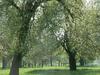 Hotel Logis H�tel De France