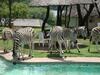 Hostal Avon Road Guest House & Tours