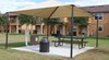 Hotel Regal Palms Resort & Spa
