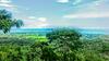 Hotel Whales  And  Dolphins