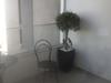 Apartamento The Central Suite