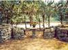 Bed & Breakfast Villa Sant'uberto Country Inn