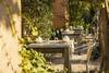Bed & Breakfast Fattoria San Martino