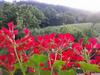 Agroturismo Finca Artienza